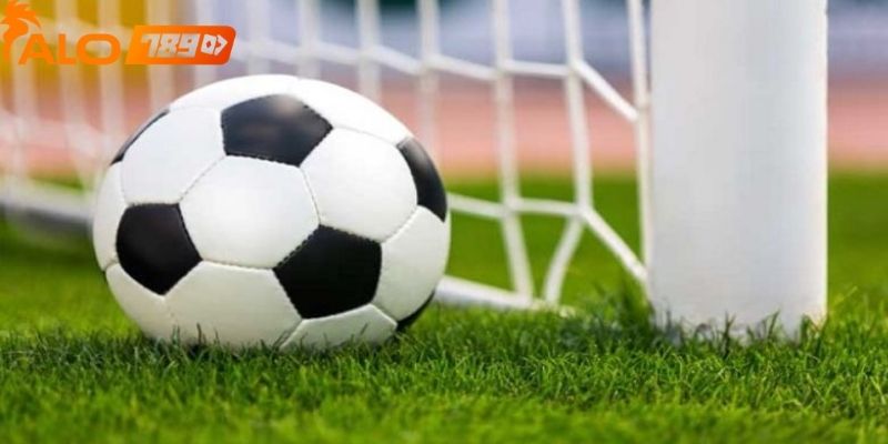 Không phải mọi môn thể thao đều phù hợp với từng người chơi